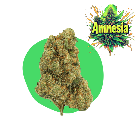 Amnesi CBD