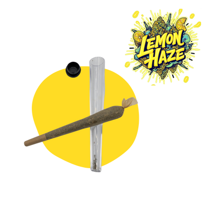 Före rullning de Lemon CBD