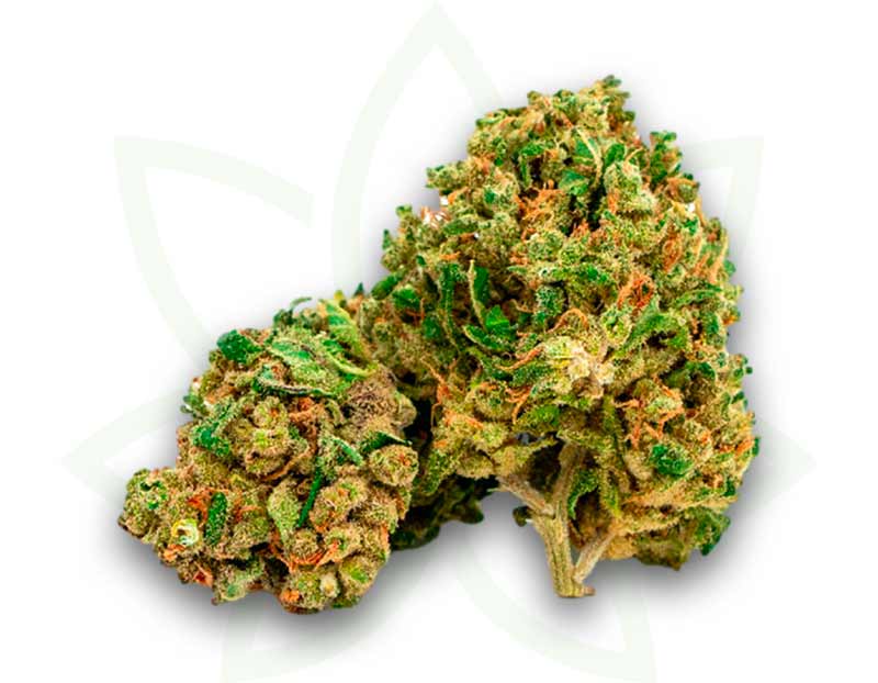 cbd nyc diesel inomhusblomma 3 5 10 20 50 gram mafrenchweed 1